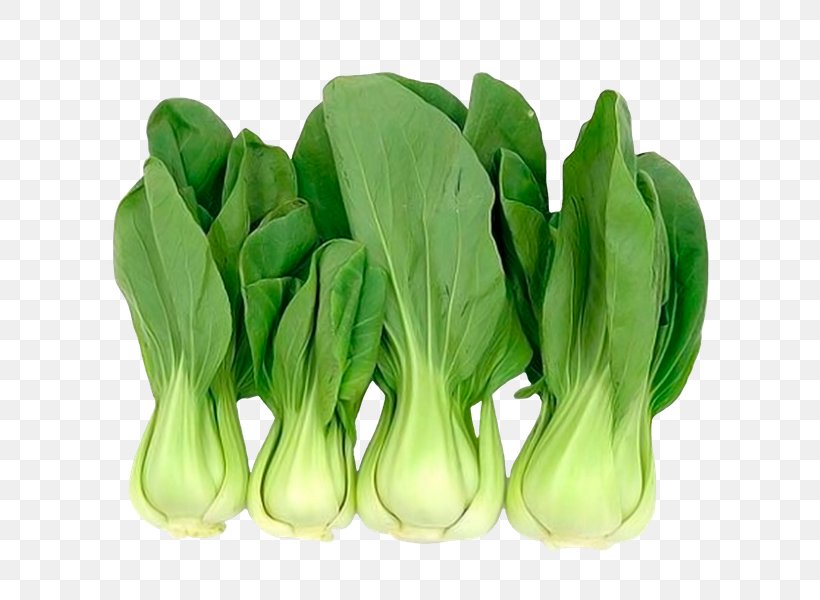 Chinese Cuisine Chinese Cabbage Bok Choy Asian Cuisine Leaf Vegetable, PNG, 600x600px, Chinese Cuisine, Asian Cuisine, Bok Choy, Capitata Group, Chinese Broccoli Download Free