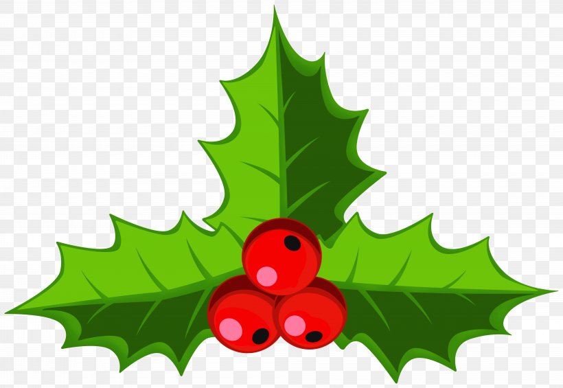 Clip Art Common Holly Image Christmas Day, PNG, 8000x5515px, Common Holly, American Holly, Aquifoliales, Christmas Day, Currant Download Free