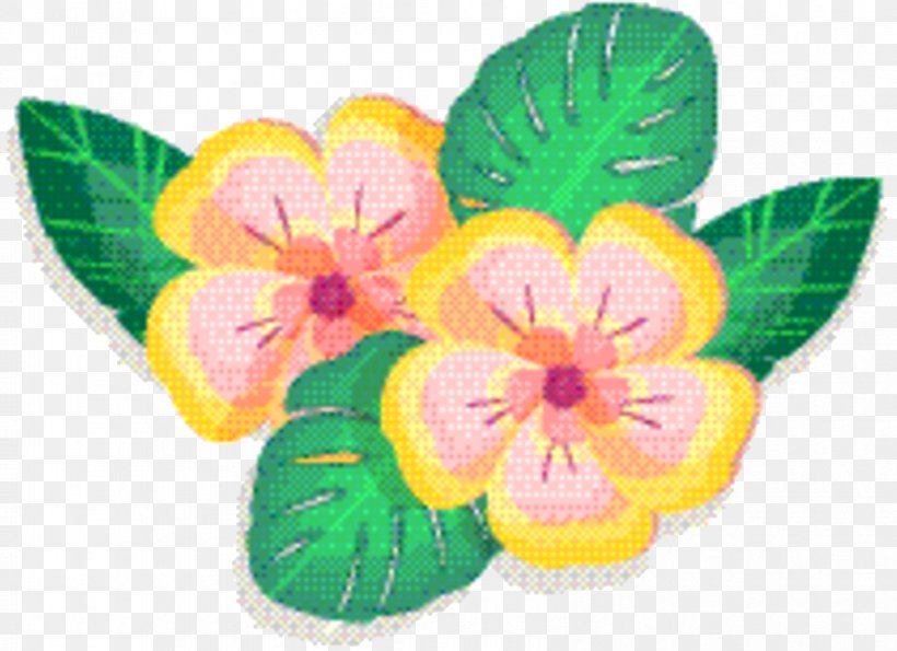 Flower Cartoon, PNG, 843x612px, Moth Orchids, Flower, Impatiens, Leaf, Orchids Download Free
