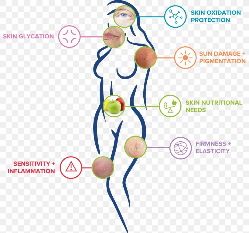 Skin Care Diagram Sensitive Skin Genetics, PNG, 800x765px, Watercolor, Cartoon, Flower, Frame, Heart Download Free