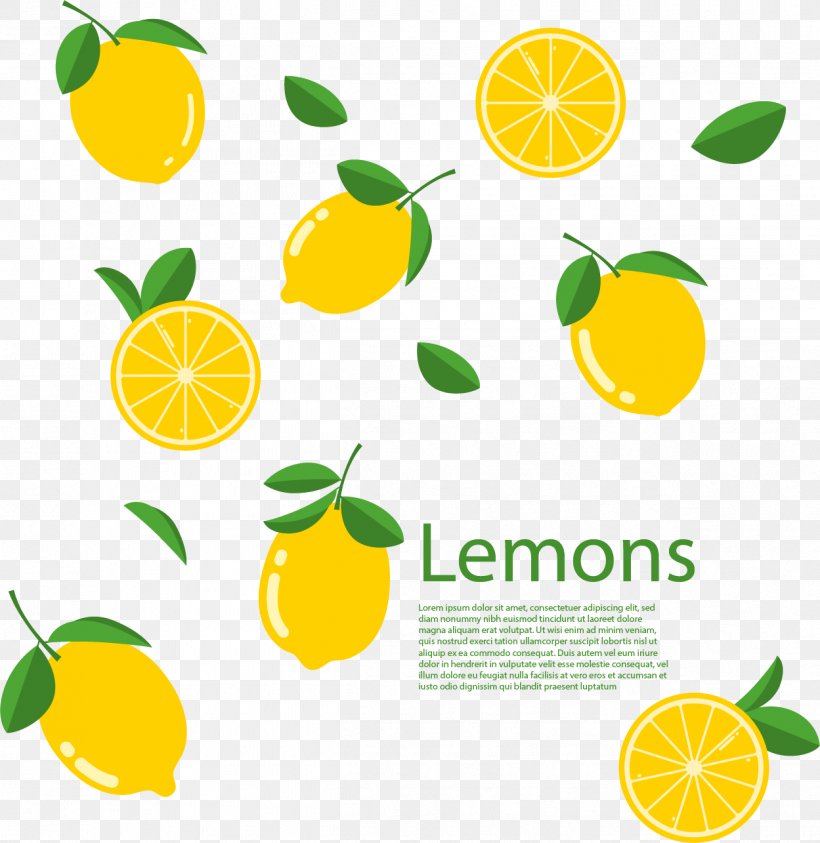 Lemon Lime Euclidean Vector Citron, PNG, 1249x1285px, Lemon, Auglis, Citric Acid, Citron, Citrus Download Free