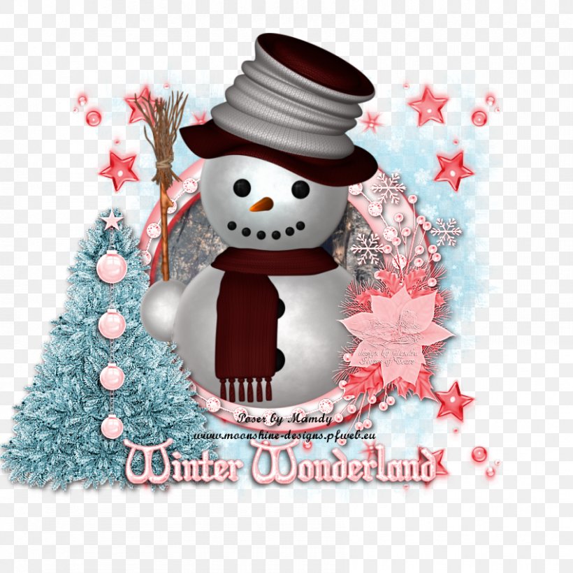 Snowman, PNG, 850x850px, Snowman, Christmas Ornament Download Free