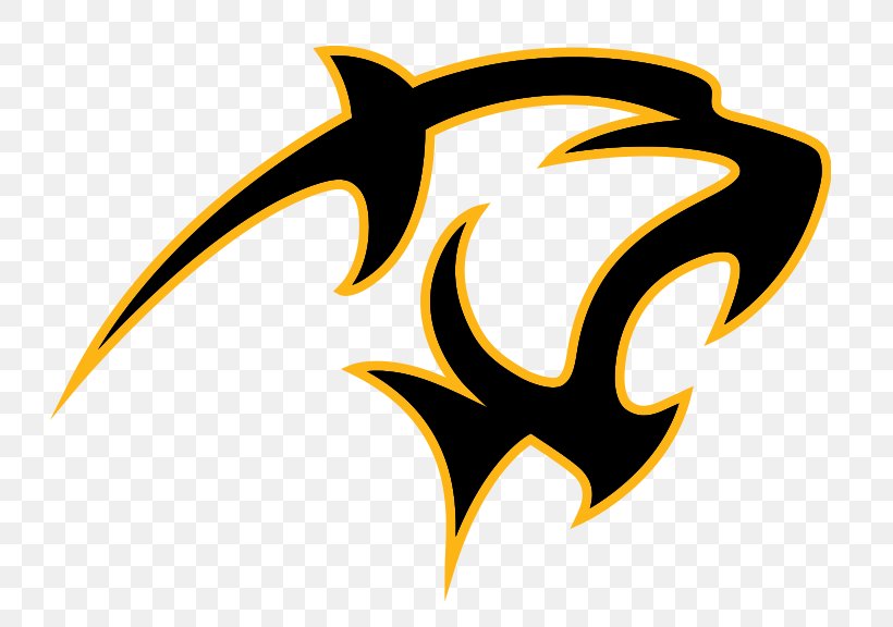 Adelphi University Panthers Men's Basketball Florida Institute Of Technology Northeast-10 Conference American International College, PNG, 800x576px, Adelphi University, Adelphi Panthers, American International College, College, Fictional Character Download Free