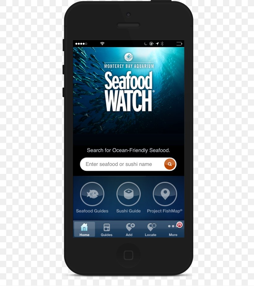 Feature Phone Smartphone Handheld Devices Multimedia Seafood Watch, PNG, 502x921px, Feature Phone, Brand, Cellular Network, Communication Device, Electronic Device Download Free