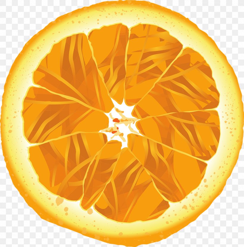 Grapefruit Juice Orange, PNG, 1266x1280px, Grapefruit, Citrus, Display Resolution, Drink, Food Download Free