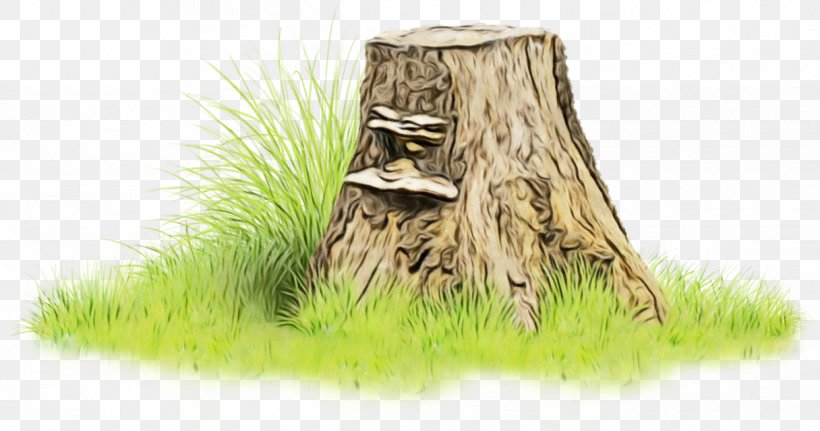 Tree Stump, PNG, 1216x640px, Tree Stump, Grass, Herbaceous Plant, Plant, Tree Download Free