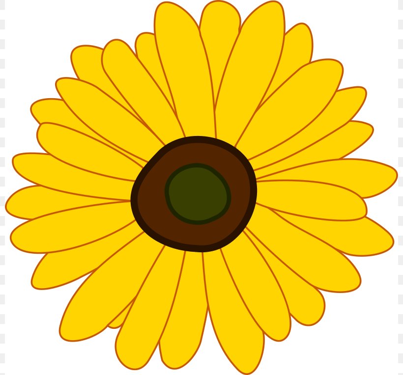 Common Sunflower Clip Art, PNG, 800x764px, Thumbnail, Calendula, Clip Art, Daisy, Daisy Family Download Free