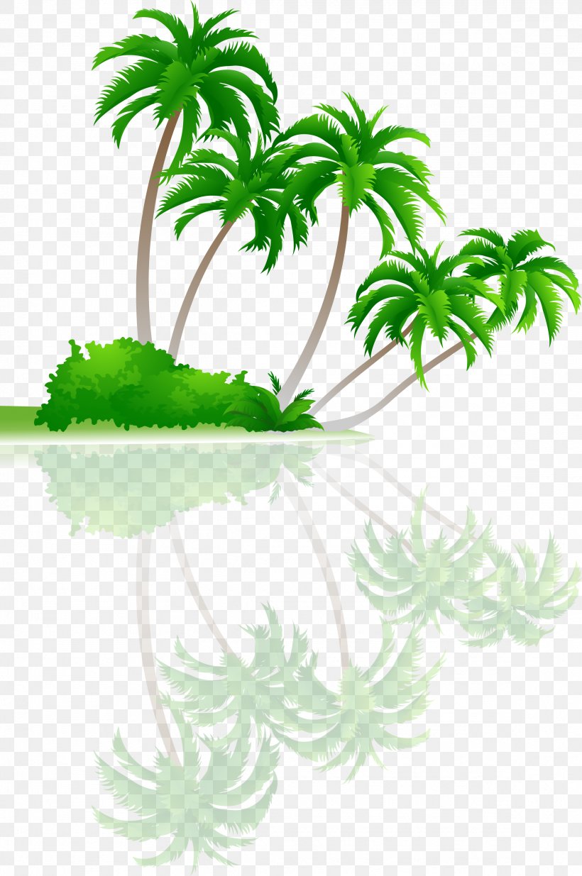Tree Arecaceae Coconut, PNG, 2327x3505px, Tree, Aquarium Decor, Arecaceae, Cartoon, Coconut Download Free