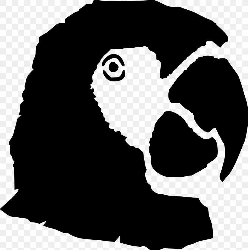 Clip Art Stencil Drawing Parrot, PNG, 1769x1782px, Stencil, Art, Blackandwhite, Drawing, Graffiti Download Free