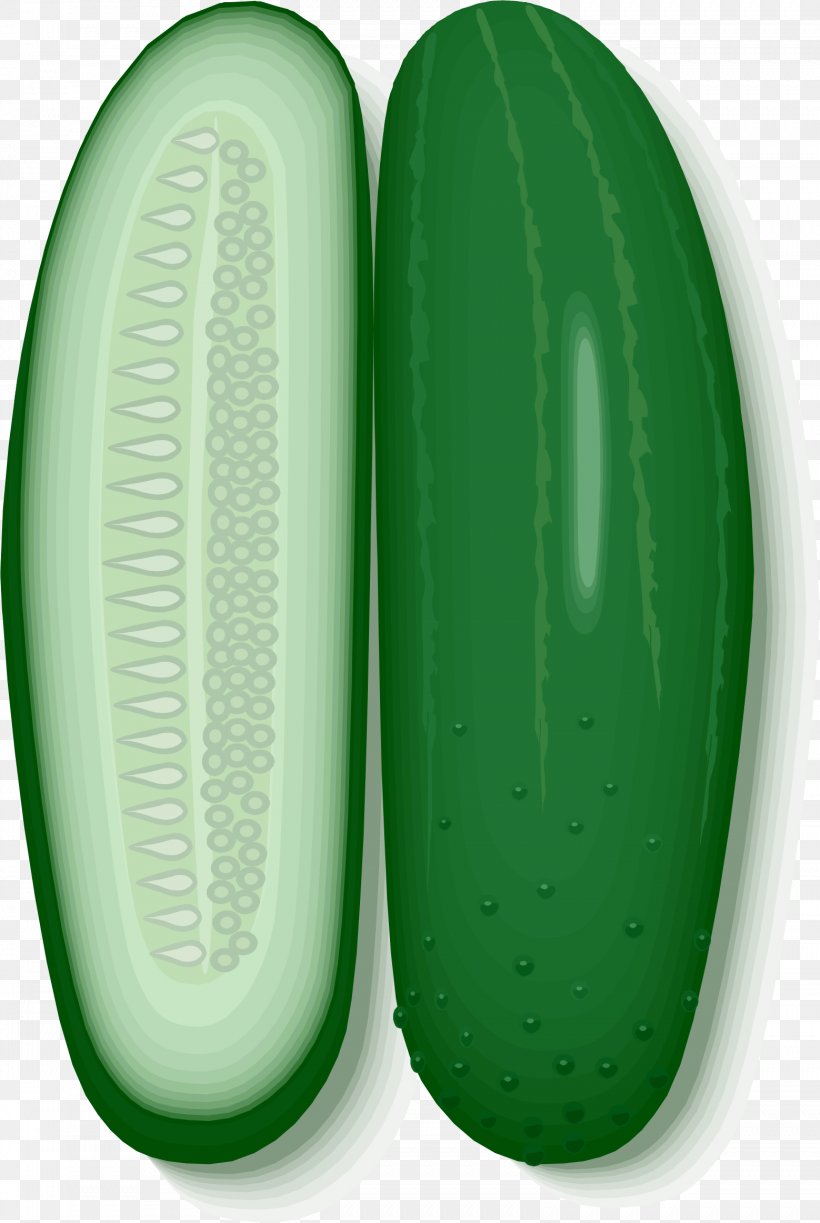 Cucumber Clip Art, PNG, 1558x2324px, Cucumber, Cucumber Gourd And Melon Family, Egg, Food, Green Download Free