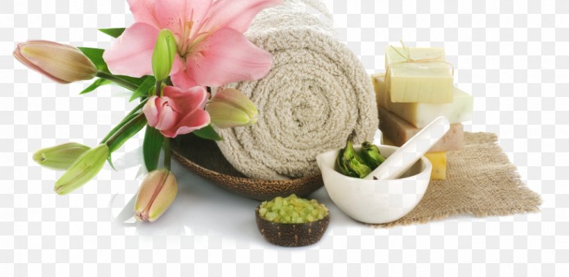 Day Spa Beauty Parlour Bathing Pedicure, PNG, 857x419px, Spa, Bathing, Bathtub, Beauty Parlour, Cut Flowers Download Free