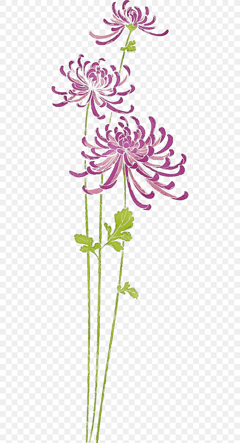 Floral Design, PNG, 468x1509px, Chrysanthemum, Biology, Chrysanths, Cut Flowers, Floral Design Download Free
