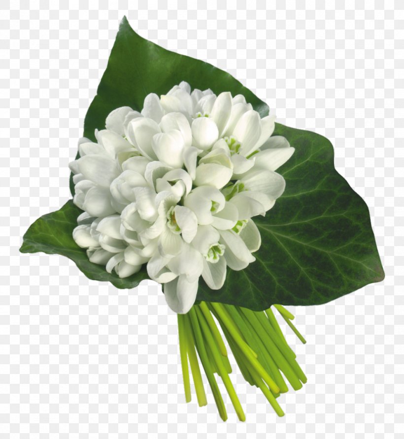 Galanthus Nivalis Flower Bouquet Wedding Bride, PNG, 992x1080px, Galanthus Nivalis, Artificial Flower, Bride, Buttonhole, Cut Flowers Download Free