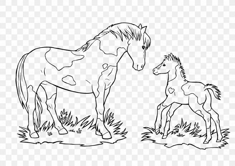 Mustang Foal Ausmalbild Pony Coloring Book, PNG, 3508x2480px, Mustang, Animal Figure, Artwork, Ausmalbild, Black And White Download Free