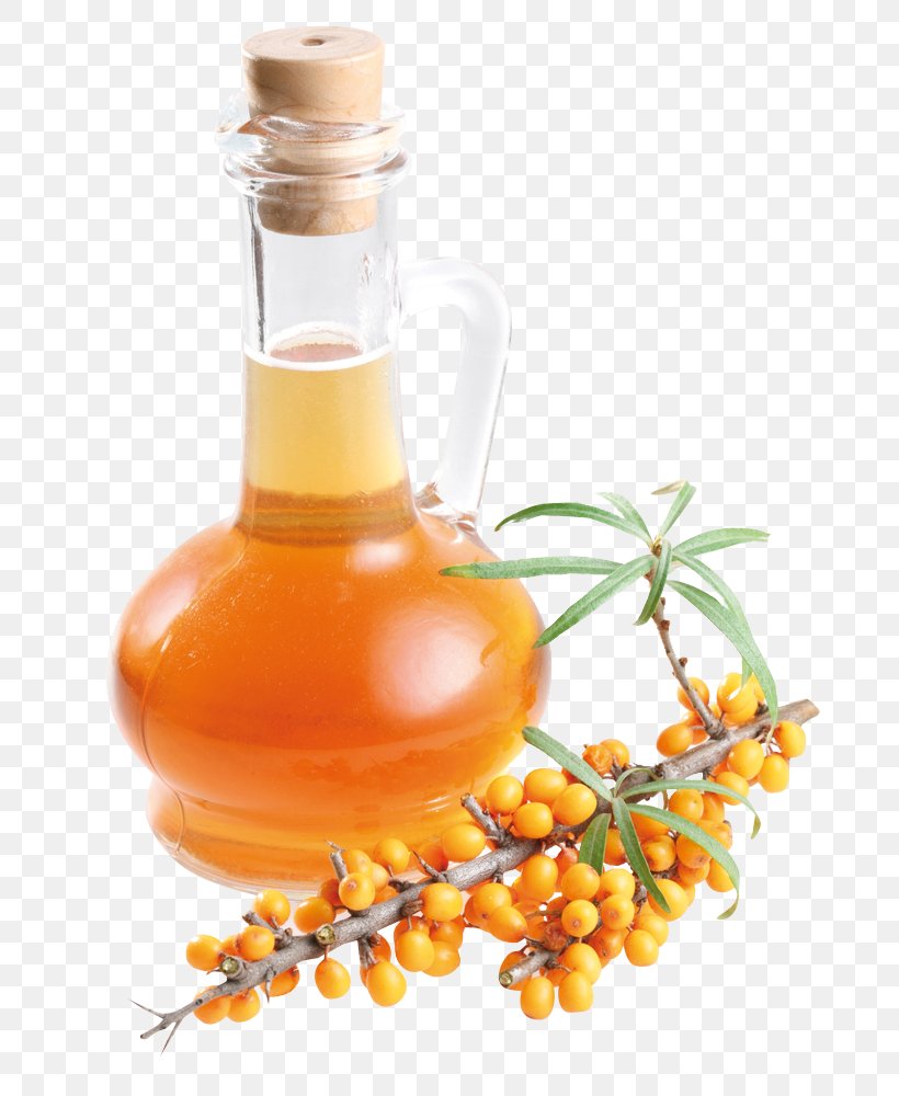 Sea Buckthorn Oil Dietary Supplement Seaberry Health, PNG, 699x1000px, Sea Buckthorn Oil, Buckthorn, Carotenoid, Cooking Oil, Dietary Supplement Download Free
