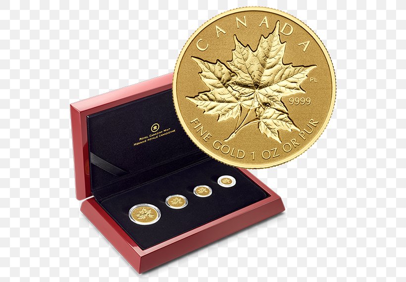 Coin Canada Maple Leaf Gold Sugar Maple, PNG, 570x570px, Coin, Box, Bullion, Canada, Canadian Gold Maple Leaf Download Free