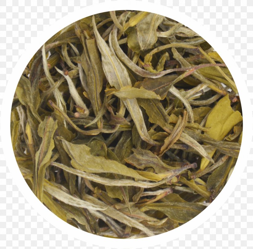 Nilgiri Tea Green Tea Dianhong White Tea, PNG, 866x854px, Nilgiri Tea, Assam Tea, Bai Mudan, Baihao Yinzhen, Bancha Download Free
