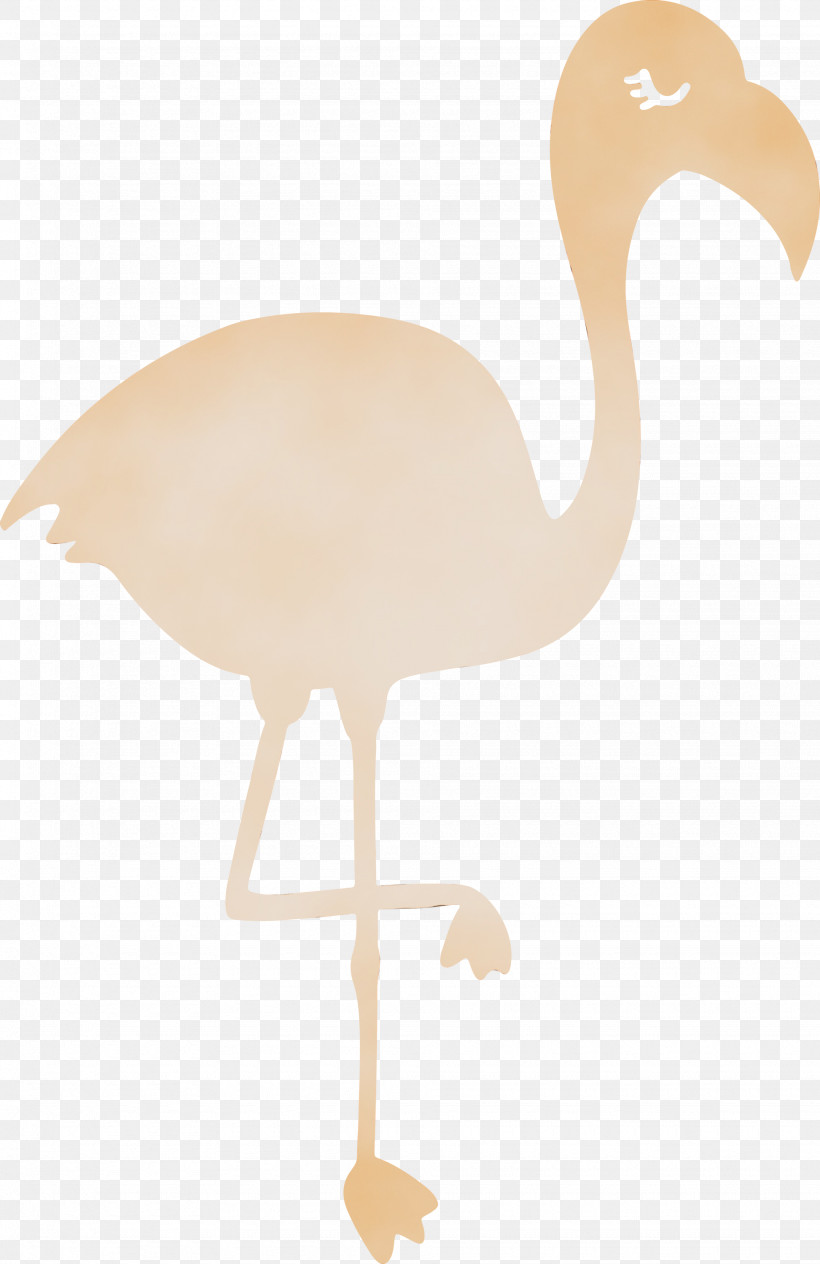 Common Ostrich Birds Crane Beak Water Bird, PNG, 1945x3000px, Summer, Beach, Beak, Biology, Birds Download Free