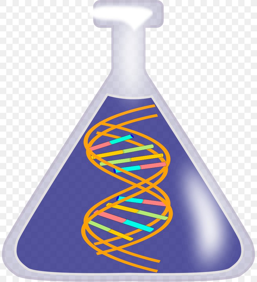 DNA Nucleic Acid Double Helix Free Content Clip Art, PNG, 808x900px, Dna, Dna Replication, Free Content, Gene, Molecular Biology Download Free