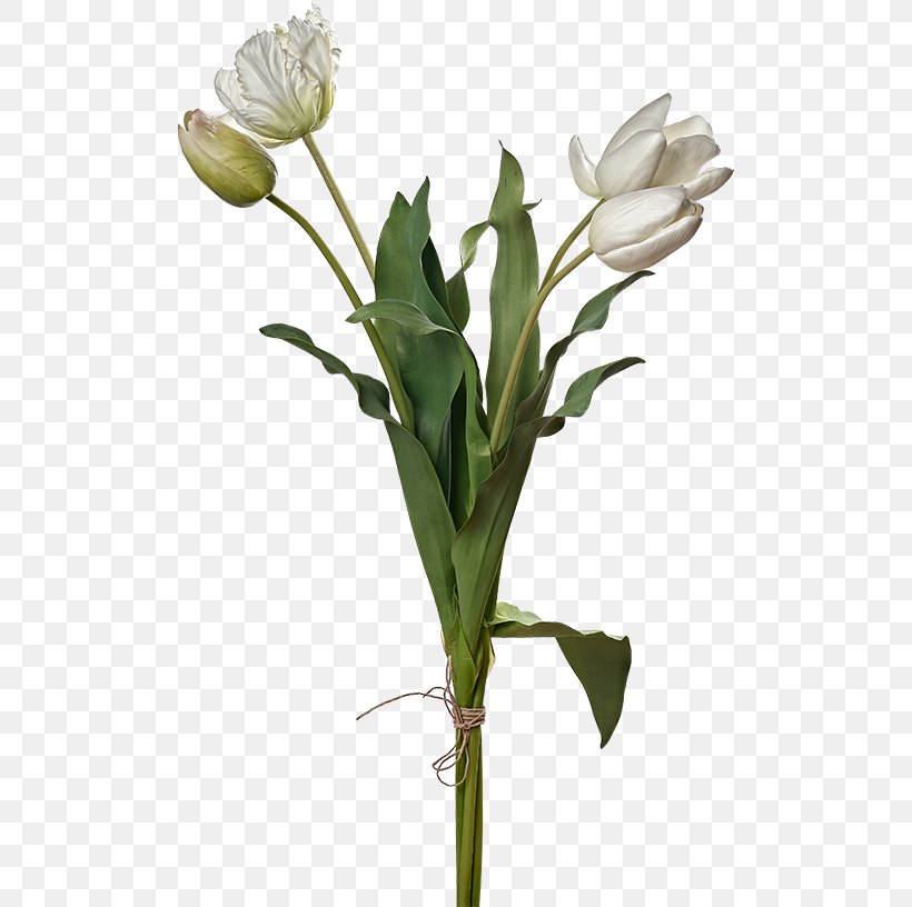 Tulip Cut Flowers Plant Stem Flower Bouquet, PNG, 500x816px, Tulip, Apartment, Bud, Cut Flowers, Floral Design Download Free