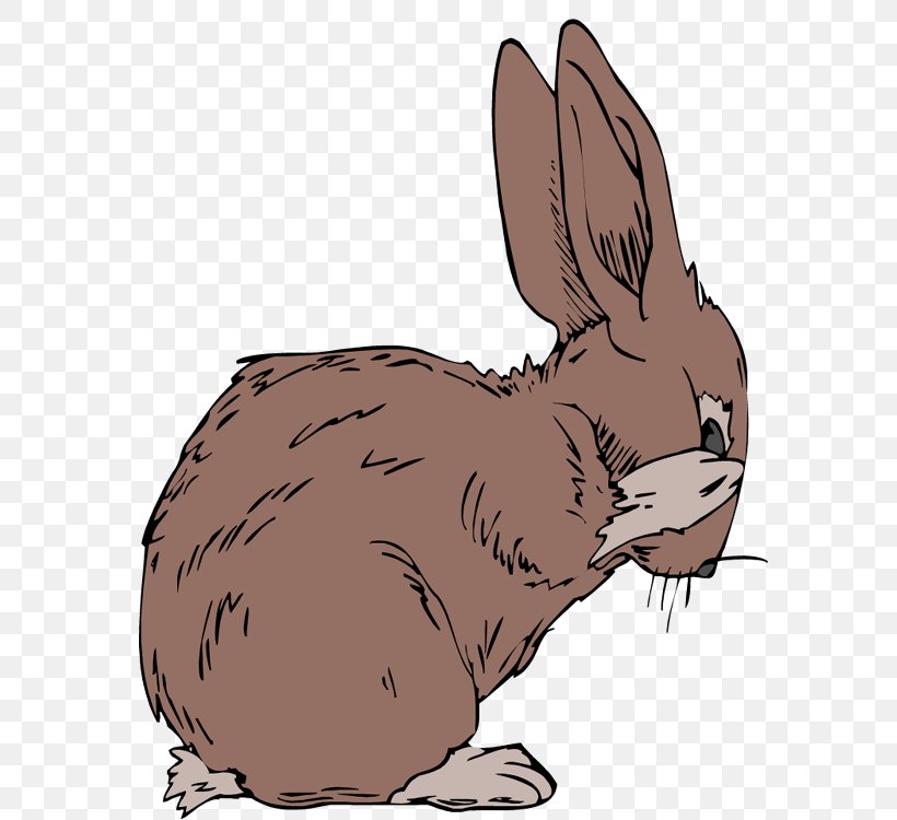 Arctic Hare Domestic Rabbit The Velveteen Rabbit Animal, PNG, 585x750px, Arctic Hare, Animal, Arctic Fox, Blanket, Bobcat Download Free