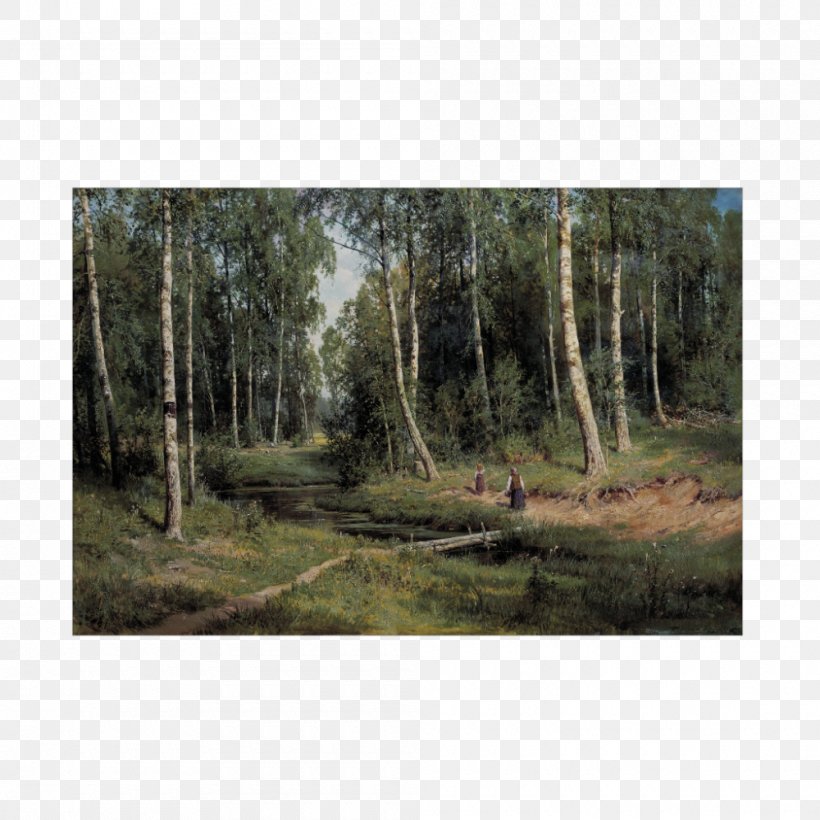 Birch Forest In The Birch Tree Forest Countess Mordvinova's Wood. Peterhof Landscape Painting Realism, PNG, 1000x1000px, Landscape Painting, Art, Artist, Biome, Bog Download Free