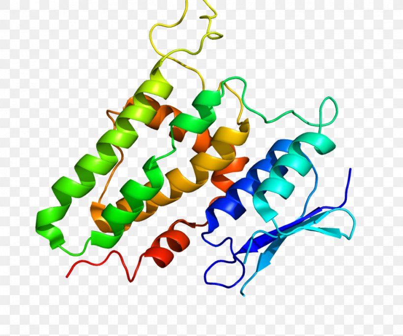 CLIC2 Protein Gene Human Chloride Channel, PNG, 970x808px, Watercolor, Cartoon, Flower, Frame, Heart Download Free