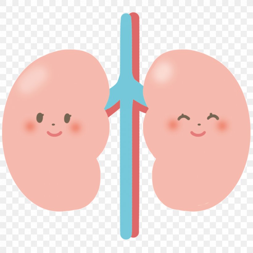 Medicine Cartoon, PNG, 1200x1200px, Chronic Kidney Disease, Blood Pressure, Disease, Food, Health Download Free