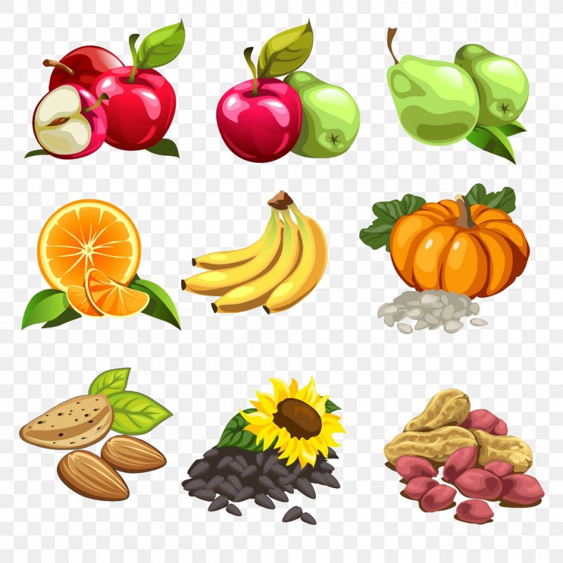 Nut Cartoon Fruit Illustration, PNG, 1000x1000px, Nut, Auglis, Cartoon, Cashew, Diet Food Download Free