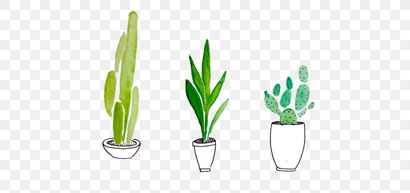 Watercolor Painting Drawing Cactaceae Succulent Plant, PNG, 500x386px, Watercolor Painting, Art, Cactaceae, Color, Drawing Download Free