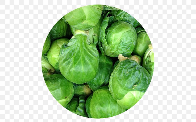 Brussels Sprout Cabbage Collard Greens Spring Greens, PNG, 512x512px, Brussels Sprout, Brassica Oleracea, Brussels, Cabbage, Collard Greens Download Free