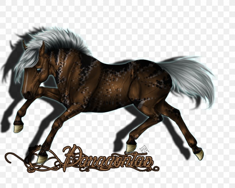 Mustang Foal Mare Stallion Halter, PNG, 900x720px, Mustang, Animal Figure, Animation, Art, Bridle Download Free