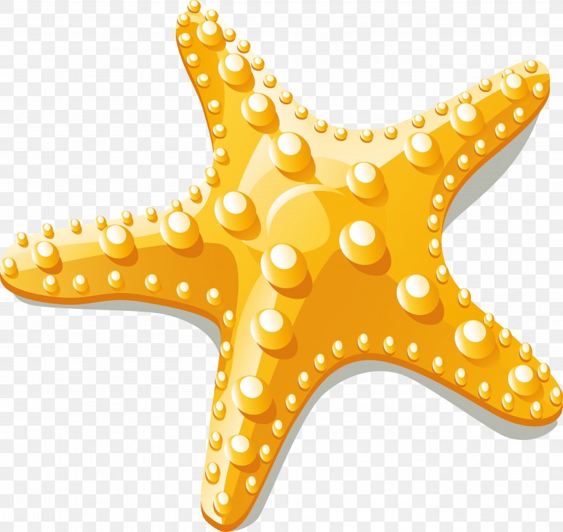 Starfish Euclidean Vector Clip Art, PNG, 5303x5015px, Starfish, Coreldraw, Dwg, Echinoderm, Invertebrate Download Free