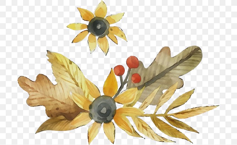 Watercolor Flower Background, PNG, 700x501px, Watercolor, Brooch, Flower, Leaf, Paint Download Free