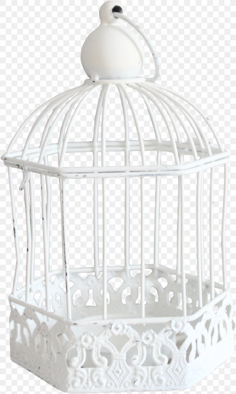 Birdcage Birdcage Cell, PNG, 1293x2159px, Bird, Birdcage, Cage, Cell, Cone Cell Download Free