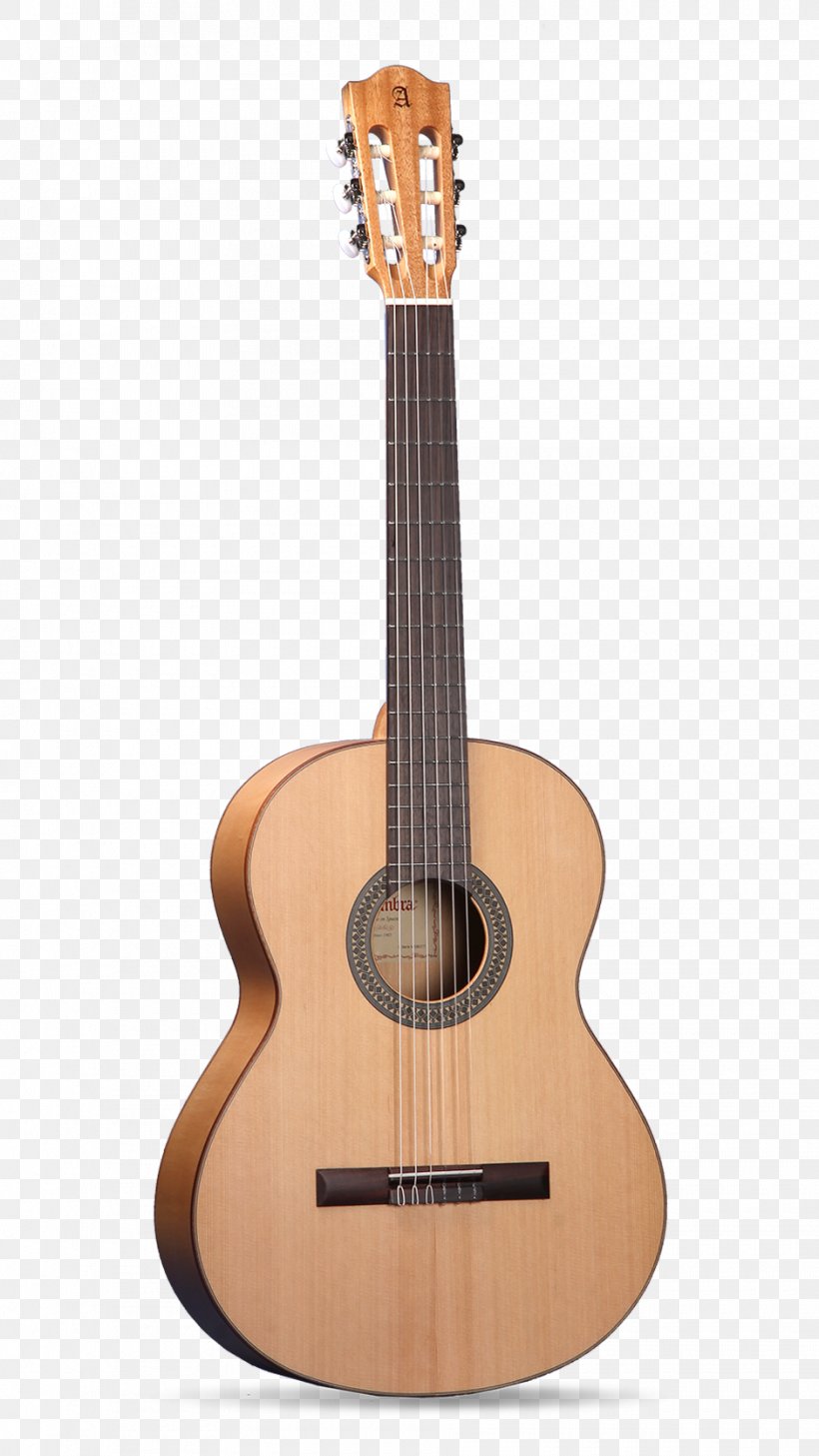 C. F. Martin & Company Acoustic-electric Guitar Classical Guitar Acoustic Guitar, PNG, 940x1671px, C F Martin Company, Acoustic Electric Guitar, Acoustic Guitar, Acousticelectric Guitar, Bass Guitar Download Free