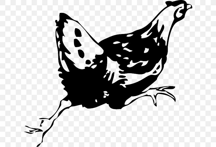 Cochin Chicken Fried Chicken Buffalo Wing Hen Clip Art, PNG, 640x558px, Cochin Chicken, Art, Artwork, Beak, Bird Download Free