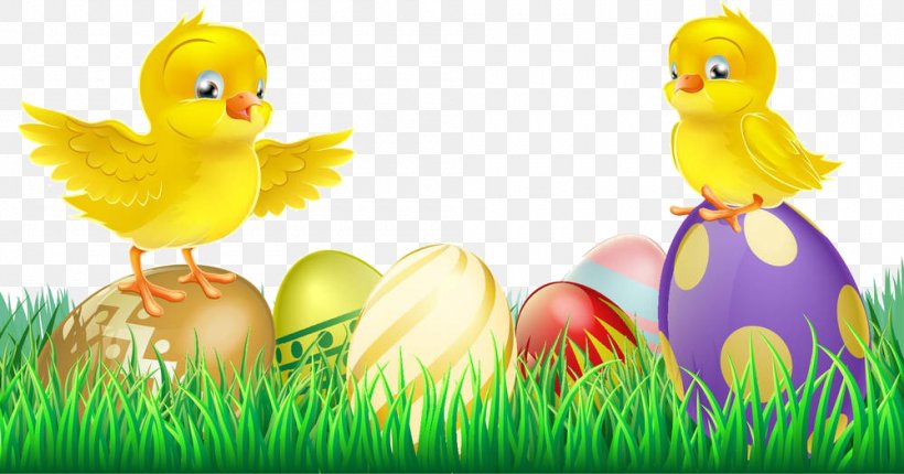 Easter Bunny Chicken Illustration, PNG, 1000x525px, Easter Bunny, Beak, Bird, Chicken, Child Download Free