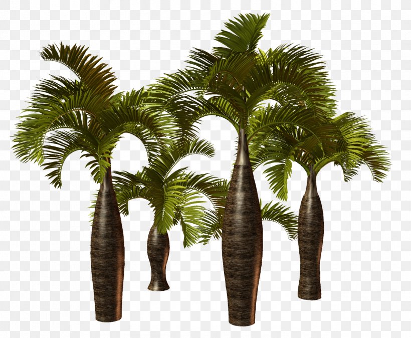 Palm Trees Clip Art California Palm, PNG, 1273x1047px, Palm Trees, Arecales, Asian Palmyra Palm, Attalea Speciosa, Borassus Download Free