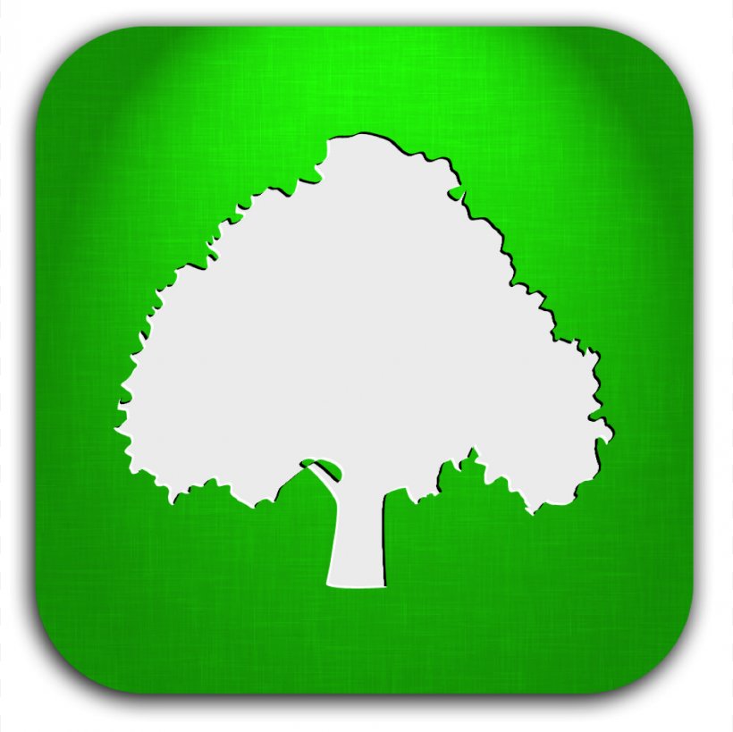 Tree Arborist, PNG, 1126x1125px, Tree, Arborist, Chinese Christian Radio, Color, Grass Download Free