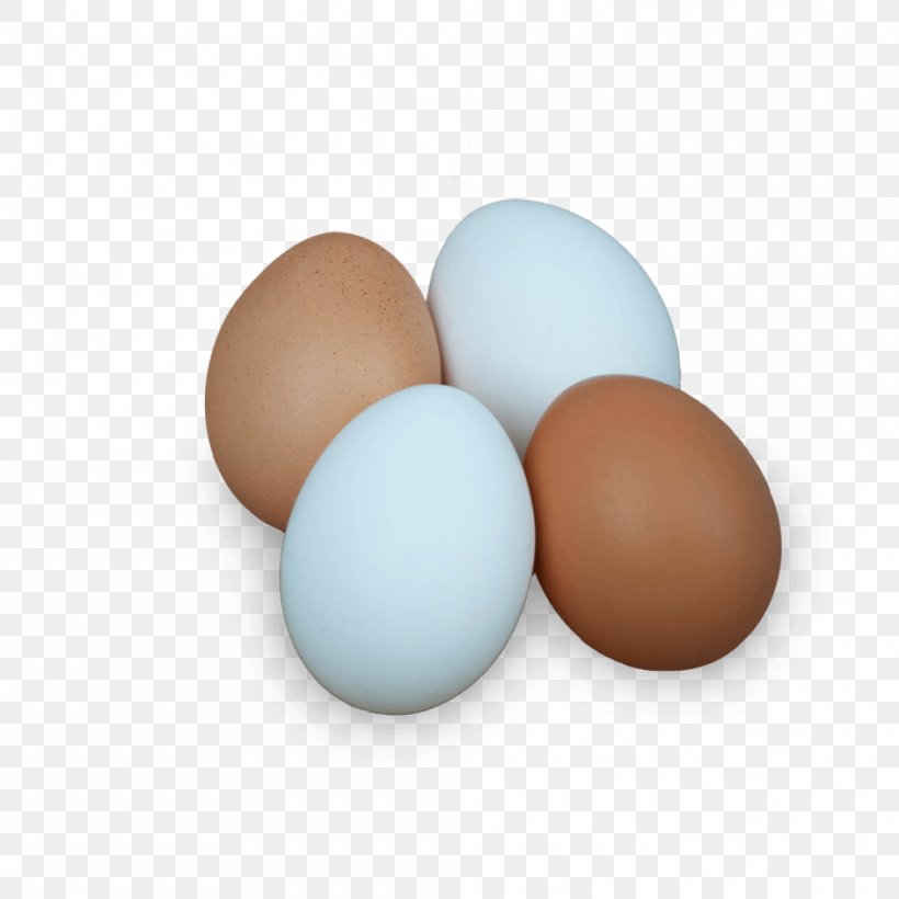 Egg White, PNG, 1000x1000px, Egg White, Egg Download Free
