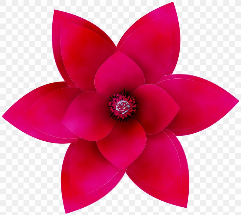 Petal Flower Clip Art Video Paper, PNG, 3000x2671px, Petal, Automotive Wheel System, Cut Flowers, Flower, Flowering Plant Download Free