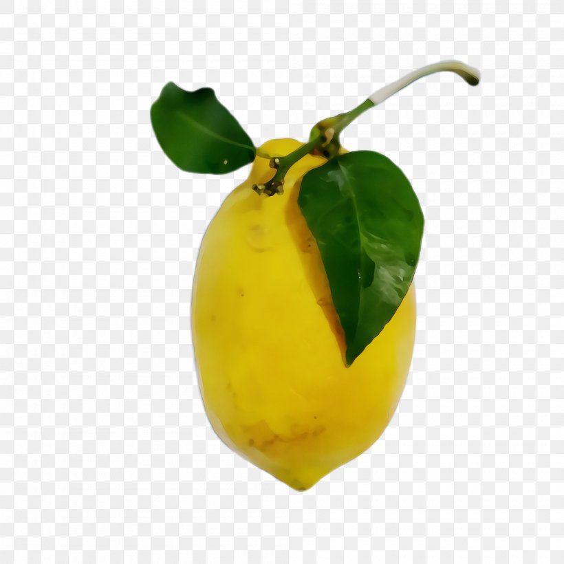 Yellow Plant Food Fruit Leaf, PNG, 2000x2000px, Watercolor, Flower, Food, Fruit, Leaf Download Free