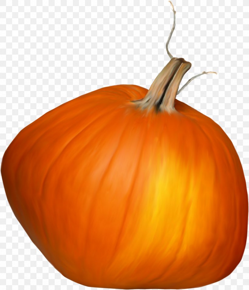 Calabaza Great Pumpkin Winter Squash Gourd, PNG, 1645x1918px, Calabaza, Carving, Cucumber Gourd And Melon Family, Cucurbita, Fruit Download Free