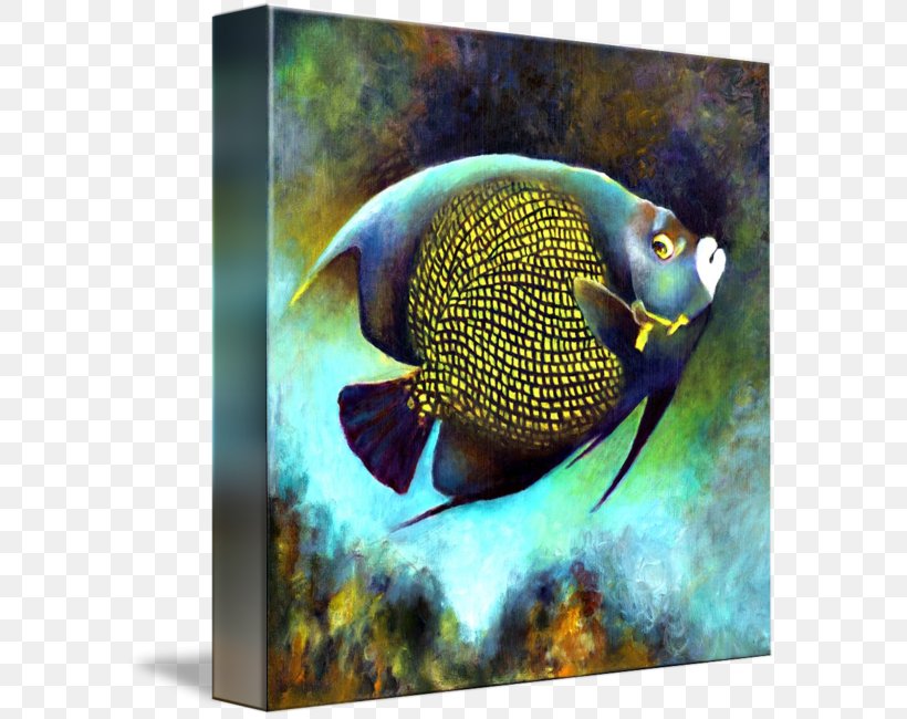 French Angelfish Emperor Angelfish Coral Reef Fish, PNG, 589x650px, French Angelfish, Aquarium, Aquariums, Coral Reef, Coral Reef Fish Download Free