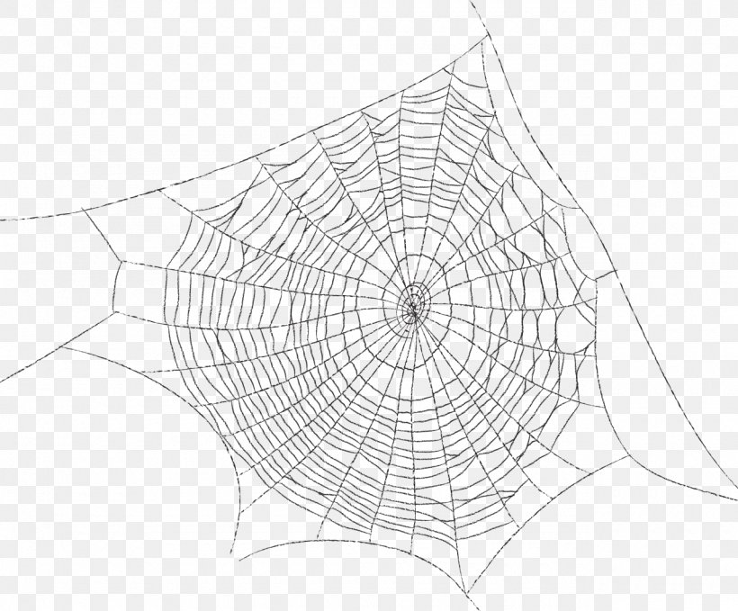 Spider Web Symmetry Pattern, PNG, 1280x1060px, Spider Web, Arachnid, Area, Black And White, Drawing Download Free
