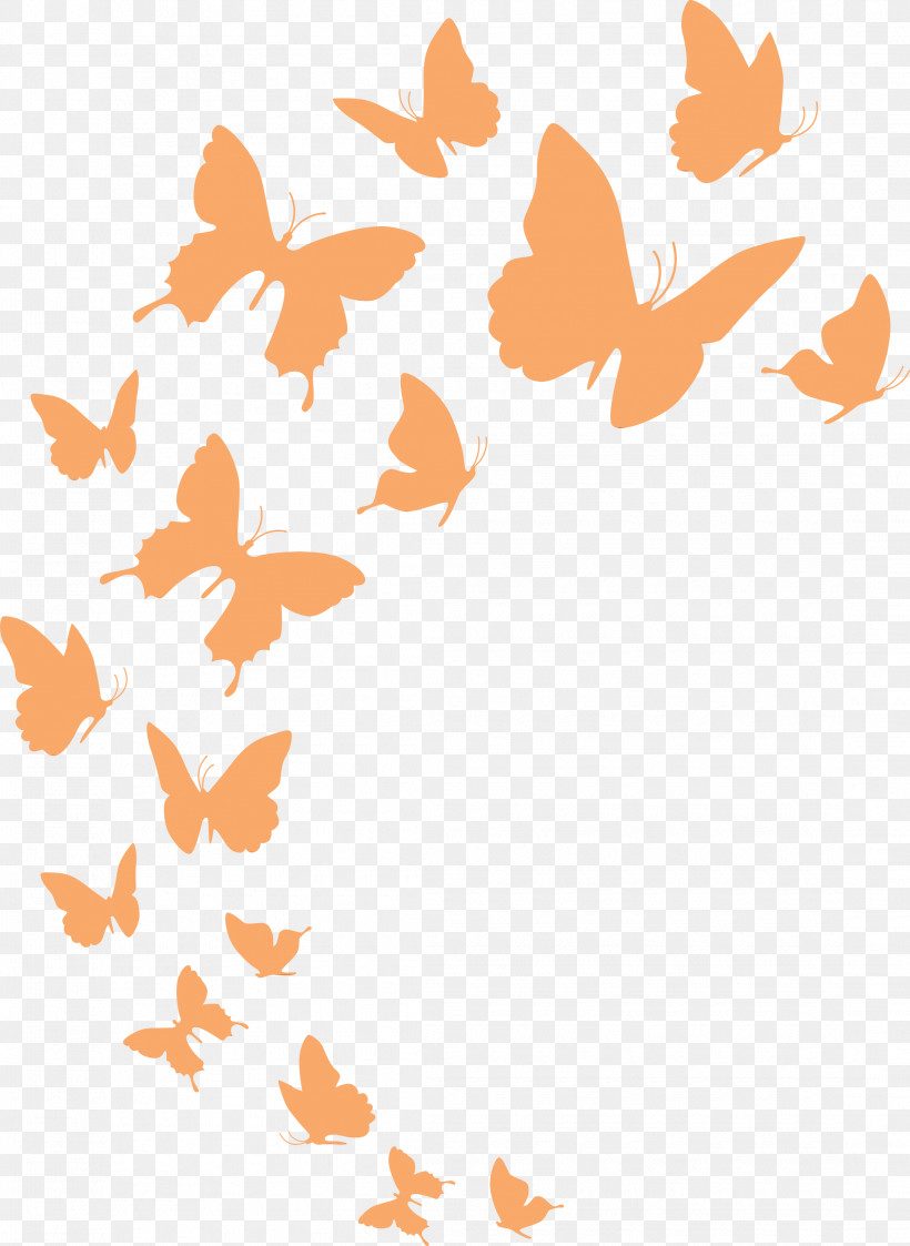 Angle Line Point Butterflies Pattern, PNG, 2190x3000px, Butterfly Background, Angle, Butterflies, Flying Butterfly, Line Download Free