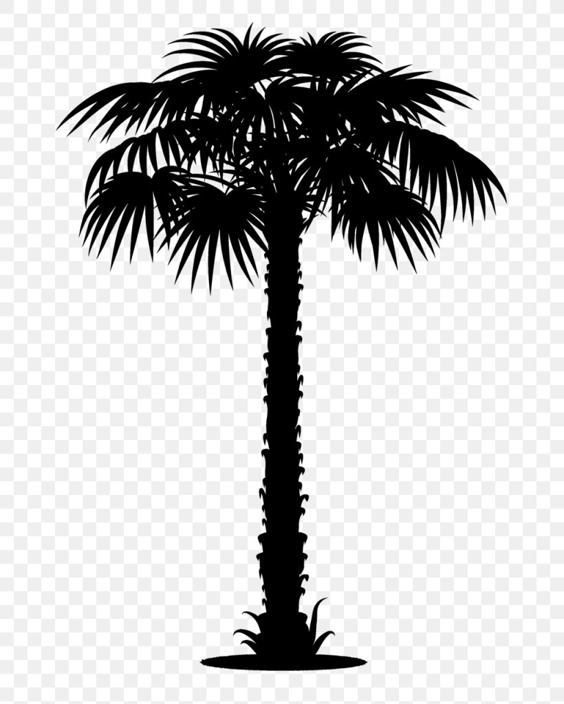 Asian Palmyra Palm Stickers Folies Wall Decal Stickers Lave Vaisselle, PNG, 724x1024px, Asian Palmyra Palm, Arecales, Attalea Speciosa, Babassu, Borassus Download Free