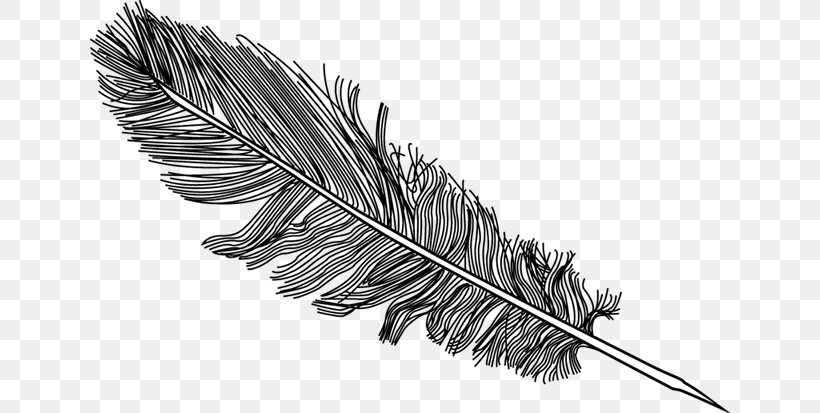 Bird Feather, PNG, 640x413px, Bird, Black And White, Drawing, Feather, Line Art Download Free