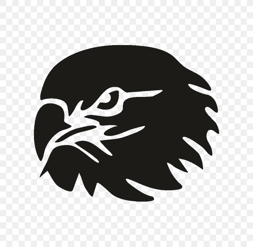 Bird Of Prey Logo Beak Silhouette, PNG, 800x800px, Bird, Beak, Bird Of Prey, Black, Black And White Download Free